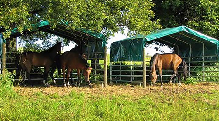 Weideunterstand - Weidezelt - Weidehütte